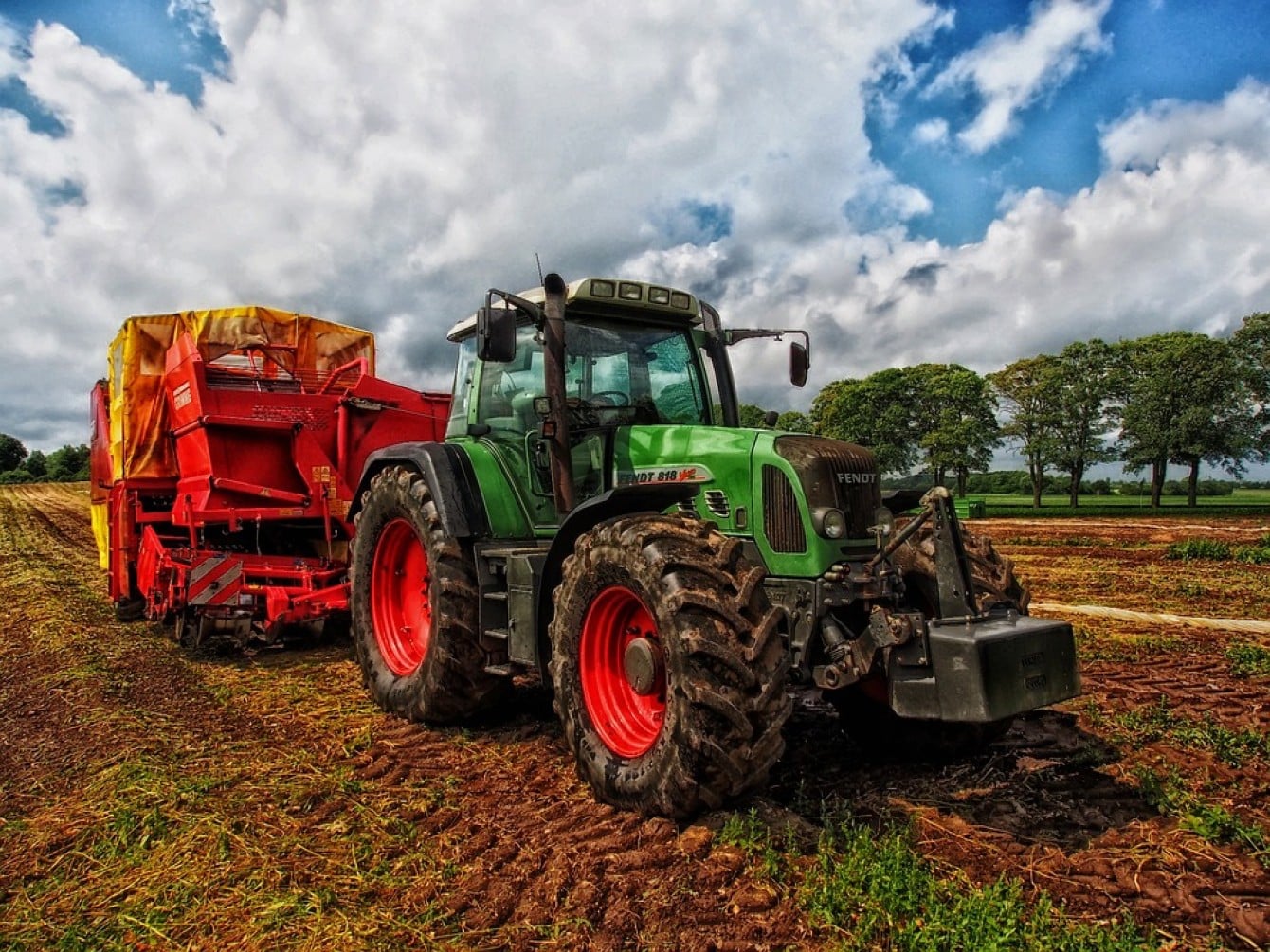 Come funzioneranno le polizze per i rischi degli agricoltori nel 2025?