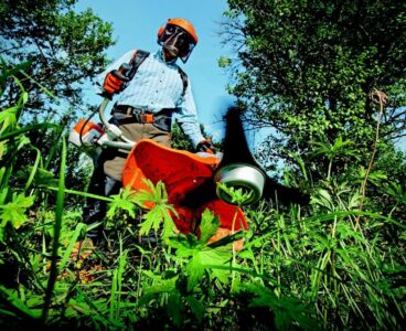 Sapevi di rischiare multe per i lavori di giardinaggio?