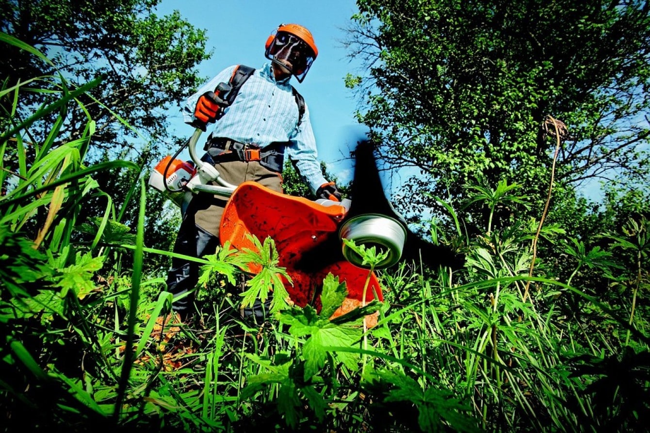 Sapevi di rischiare multe per i lavori di giardinaggio?