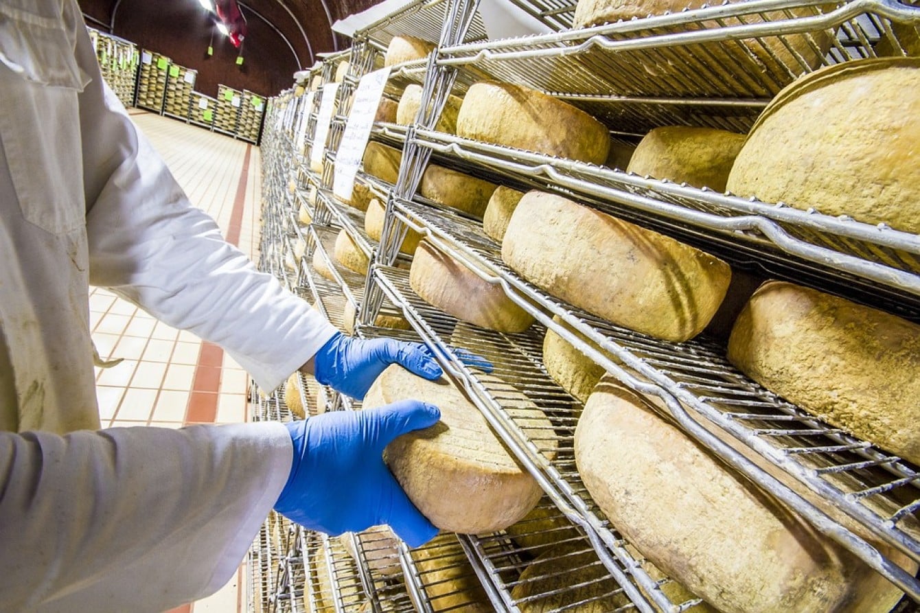 Arriva l'ok al Ddl Agricoltura: nuove regole contro le frodi alimentari