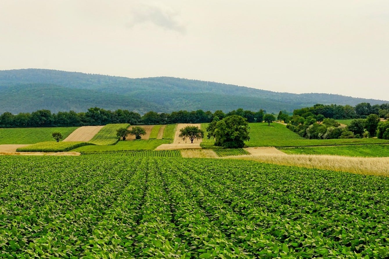 Lombardia, contributi a fondo perduto fino a 50mila euro per imprese agricole